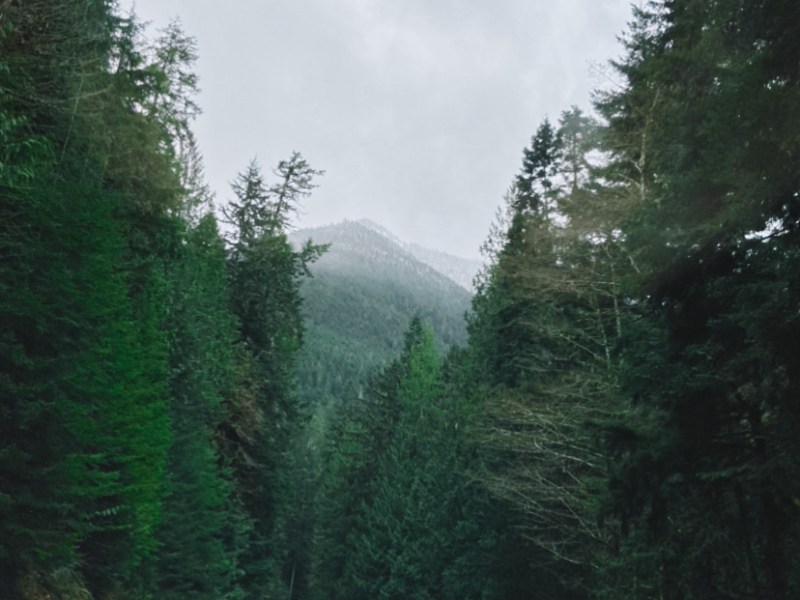 Trip to the Northern Olympic&nbsp;Peninsula